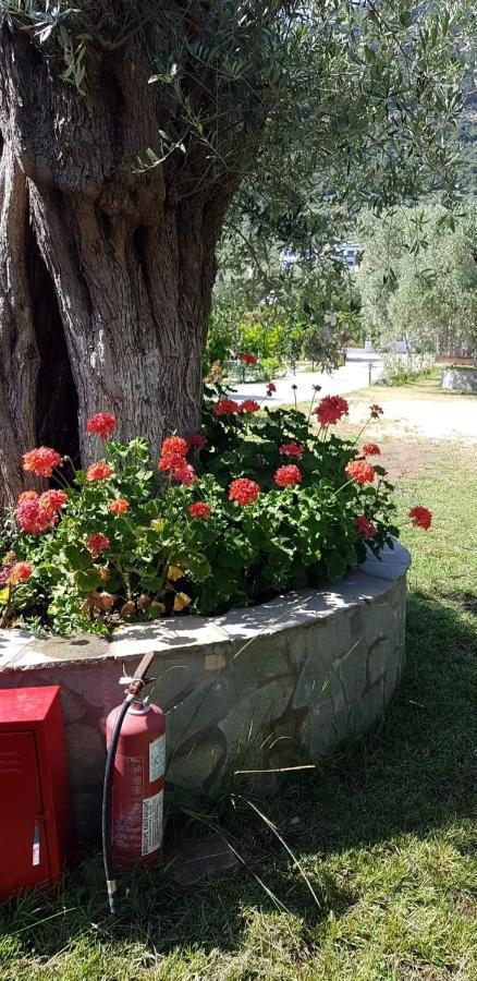 Hotel Maria Chrisi Ammoudia Esterno foto