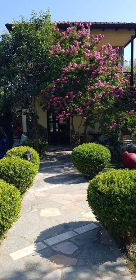 Hotel Maria Chrisi Ammoudia Esterno foto
