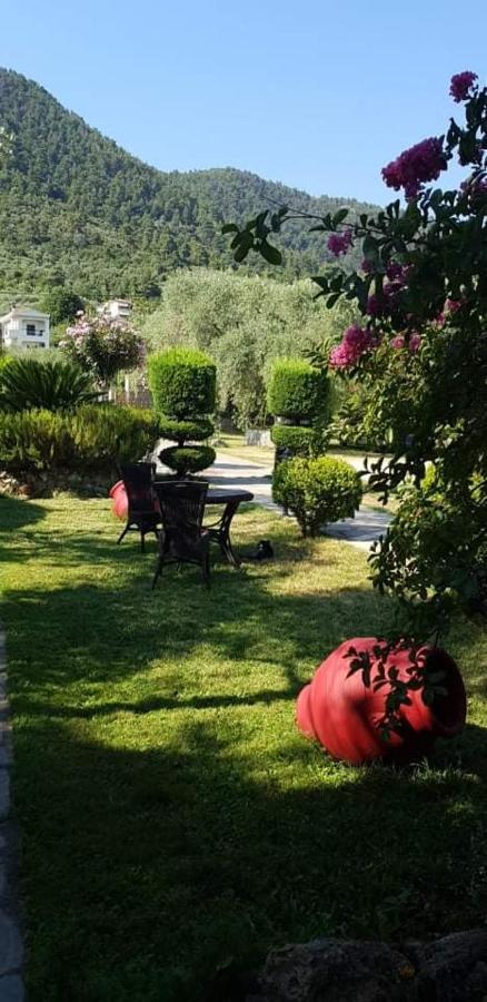 Hotel Maria Chrisi Ammoudia Esterno foto