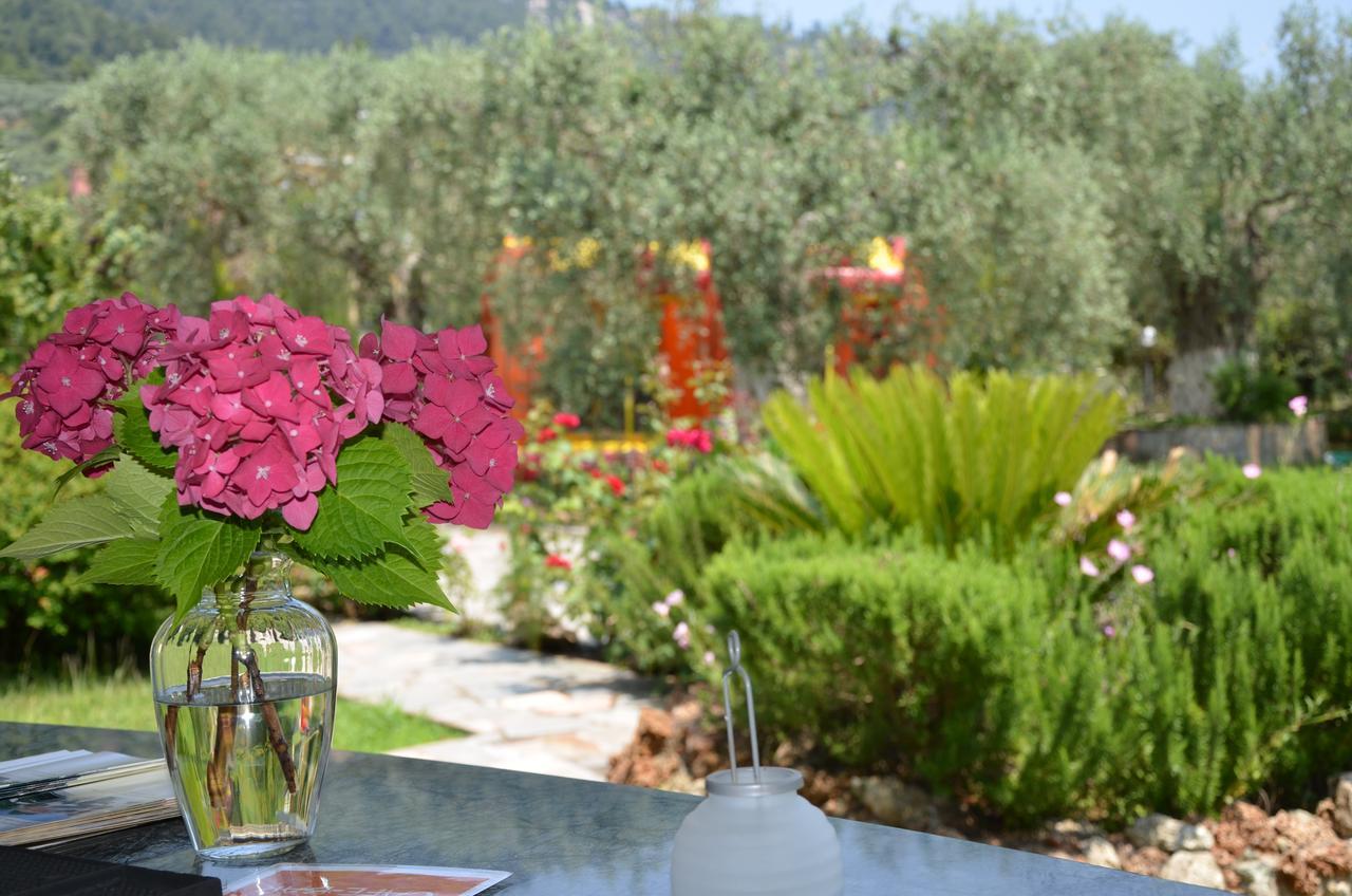 Hotel Maria Chrisi Ammoudia Esterno foto