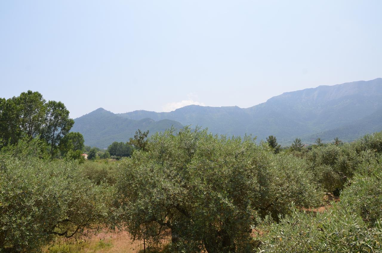 Hotel Maria Chrisi Ammoudia Esterno foto